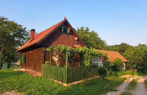 Kokotova hiža - Photo 43