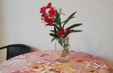 Anestis Studios - Foto 41