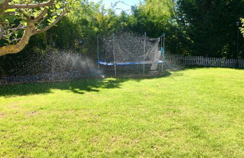 El Molino de Manolo - Photo 48