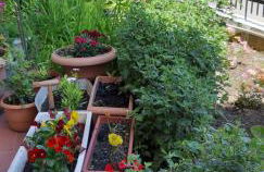 SEA VIEW TONIAS APARTMENTS Aphrodite - Foto 20