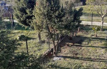 Ioannina Cozy Retreat - Foto 18