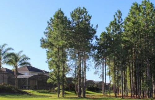 Luxury Villa - 75 inch smart TV, Upgrades throughout! 20 minutes to Disney - Foto 55