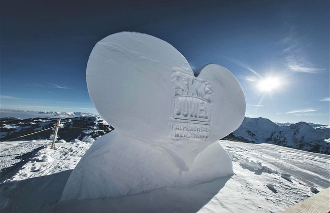 Alpbach Bergwald - Foto 60