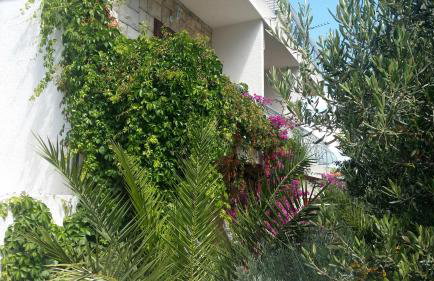 Villa Sandra Hvar - Foto 28