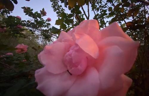 Cottage with Hot Tub and Pool Bandera, TX. - Foto 17