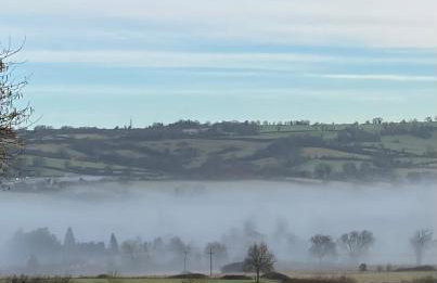 The Pigsty - Photo 27