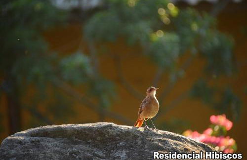 Residencial Hibiscos - Vista Mar - Foto 57