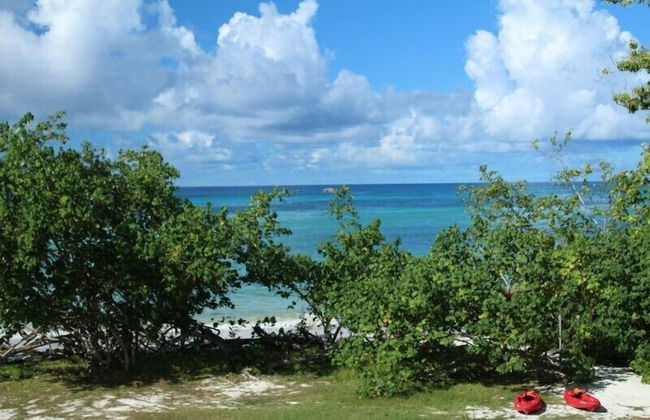 Heliconia Grove - Foto 29