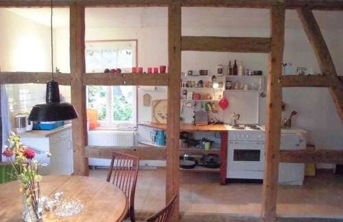 Historic Farm House In The Wendland Region - Foto 6