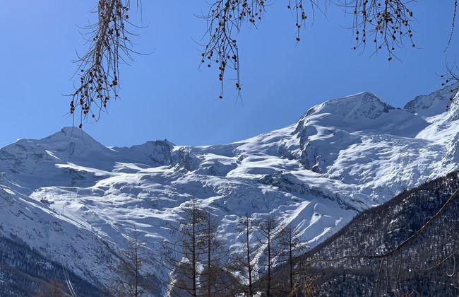 Bergfreude - Foto 66