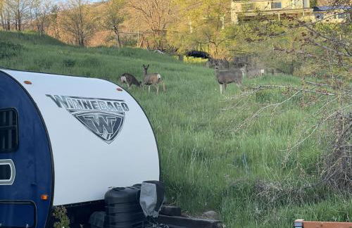 Charming WinnieTrailer with Cozy Private Patio Escape - Photo 54