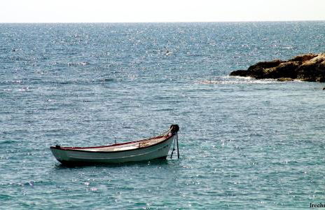 La Mojonera - Foto 66