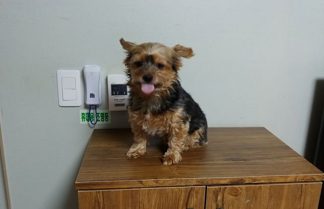 Boryeong Laon Pension - Foto 4