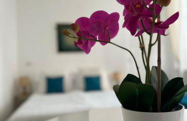 Fior di Loto Suite - Antonelli - Foto 1