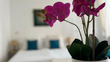 Fior di Loto Suite - Antonelli - Foto 1