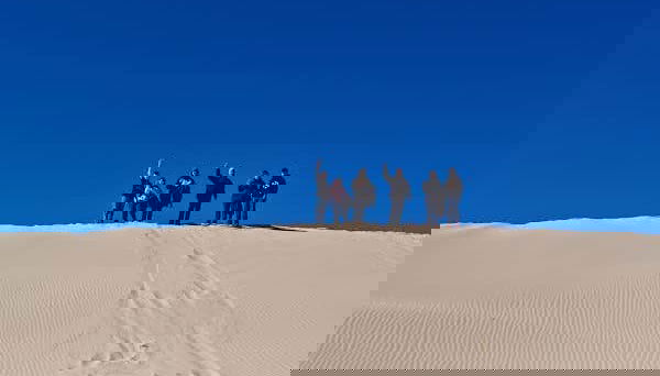 Samalayuca Dunes Sandboarding Tour - Foto 5