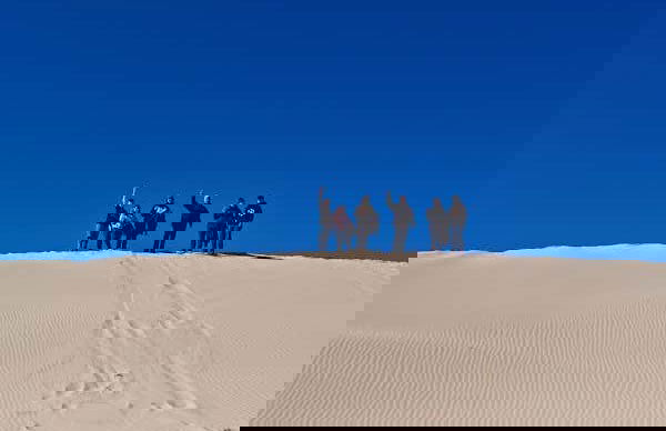 Sandboard aux dunes de Samalayuca - Photo 5