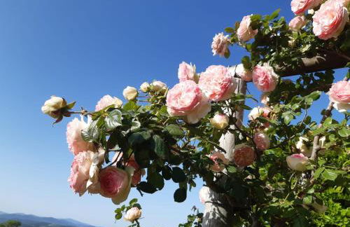 Villa La Moraiola - Foto 66