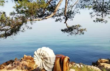 Apartment Fancy - Foto 56