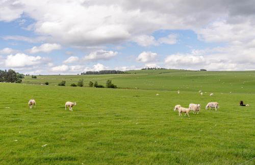 Berryrigg Cottage - Foto 35