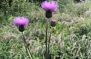 Annie’s Flat - Foto 27