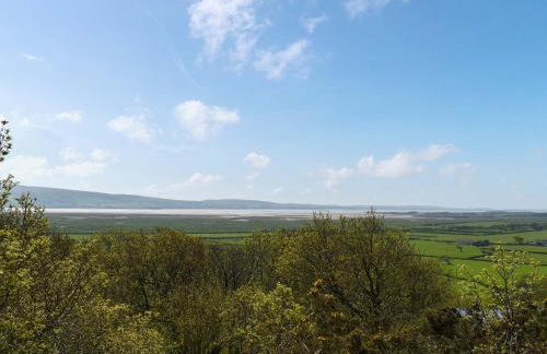 Bats About - Uk45788 - Photo 11