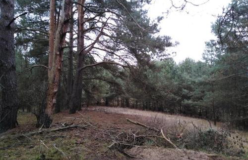 Domek w Zakątku Andrzeje Śniczany 18 - Photo 23