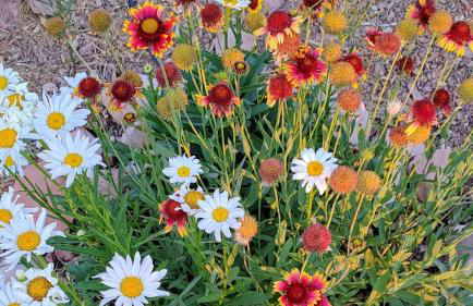 Basecamp Bluff - Bungalow with Patio, Dogs Welcome - Foto 20