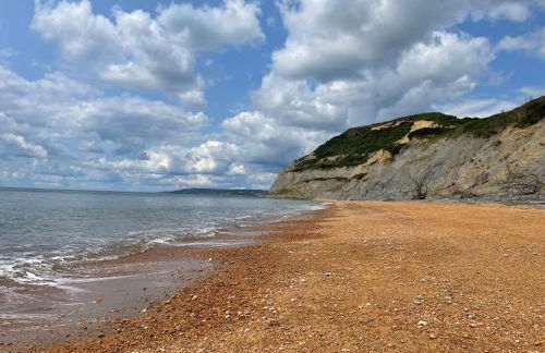 The Burrow - Photo 23