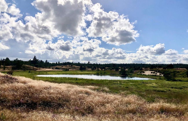 5 Person Holiday Home in Hovborg - Foto 25