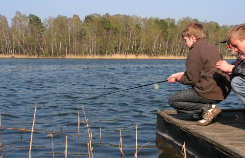 Winnica Na Leśnej Polanie - Foto 10