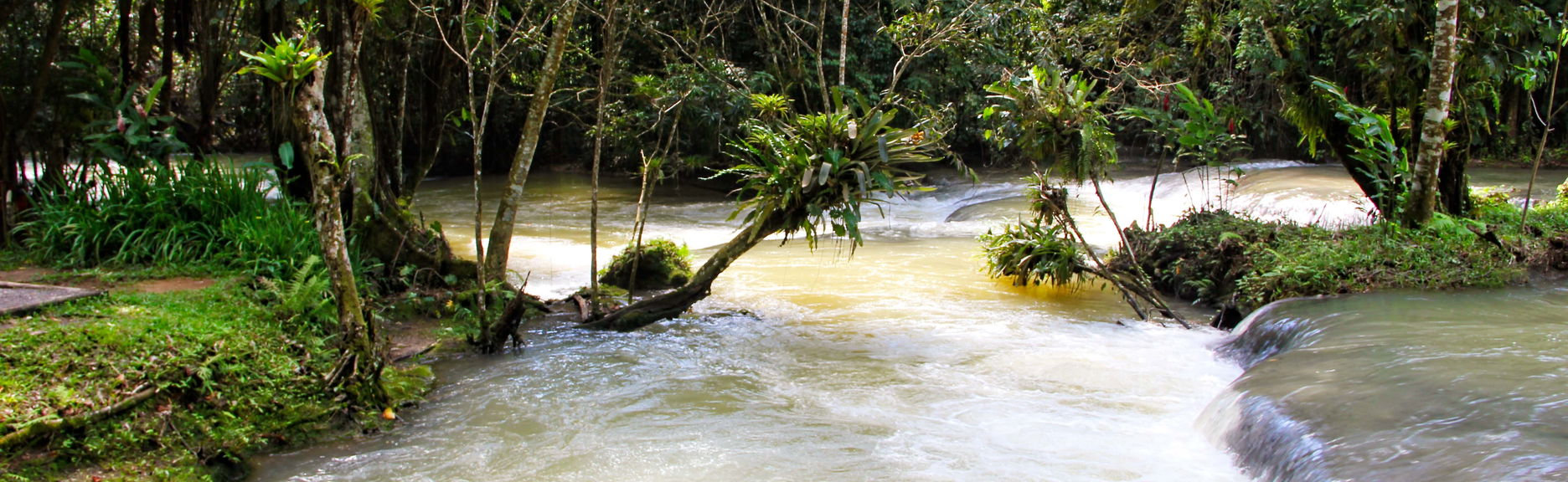 Black River & YS Falls Day Trip