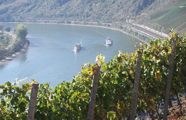 Linden Leaf" Left Comfortable Vacation Home - Foto 8