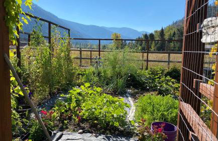 Montana Rock Creek Cabin - Foto 14