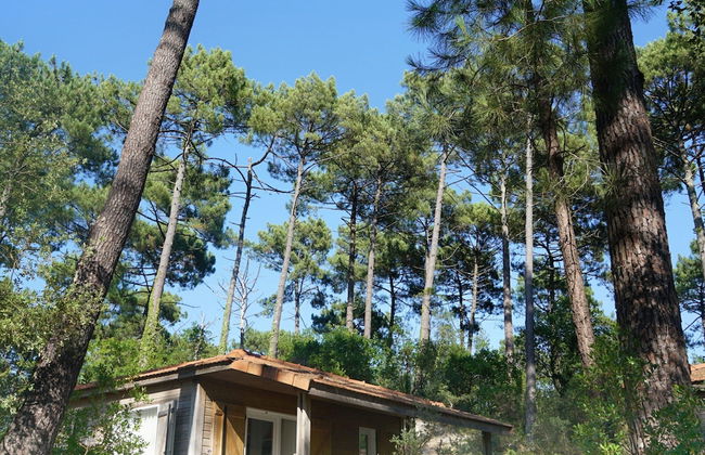 Residence Landes, Moliets - Holiday Home With Terrace - Foto 12