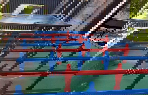 Olivos de Monte - Foto 52