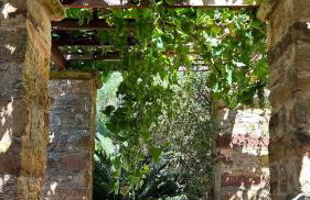 Jasmine Kampos - Foto 15