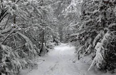 SauerlandBlick Ferienwohnung - Foto 18