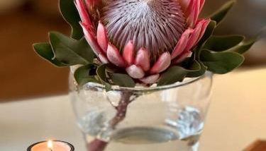 Moritzburg Loftwohnung - Foto 5