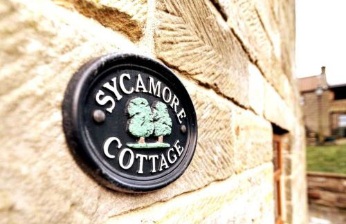 Sycamore Cottage, Falling Foss waterfalls - Foto 33