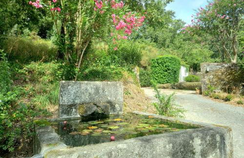 Casa dos Pinheiros - Pinheiros Farm House - Foto 42