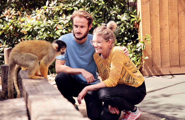 Go City London Explorer Pass - Photo 4