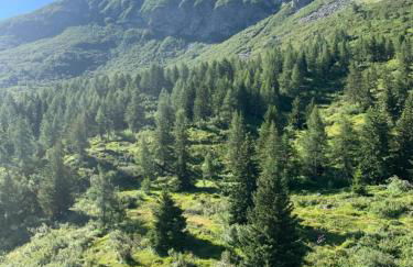 Casa Porrone - Foto 30