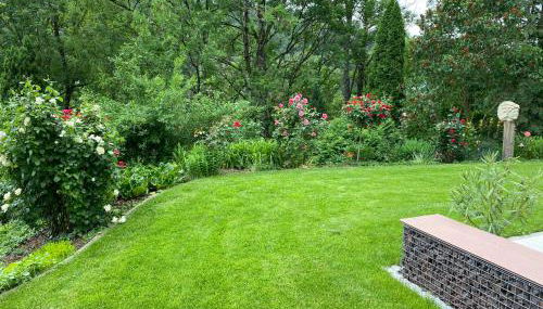 Monis Home - Foto 4, Garden