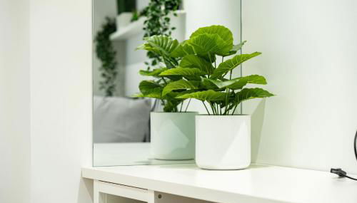 JPL Blue Horizon Residential - Casa Blue B & C - Foto 5