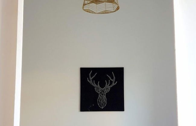 Spacious Apartment In Glasgow - Foto 48