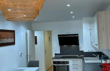 Appartement Neuf de 40 M2 à Issy-Les-Mx / Paris 15 - Foto 1