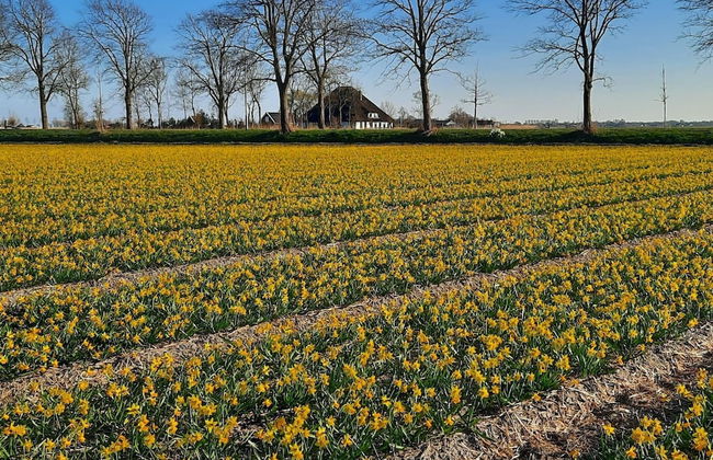 Spacious Holiday Home De Pauwenhof - Photo 51