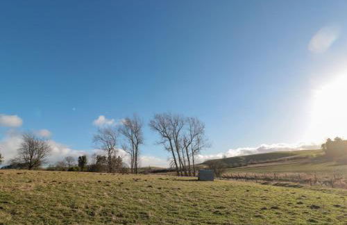 Silverbirch - Foto 22