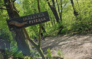 Apartament Daisy - Foto 10